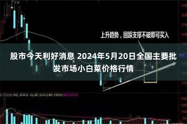 股市今天利好消息 2024年5月20日全国主要批发市场小白菜价格行情