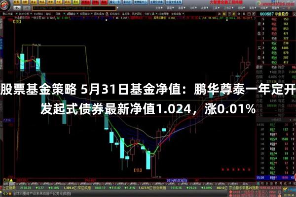 股票基金策略 5月31日基金净值：鹏华尊泰一年定开发起式债券最新净值1.024，涨0.01%