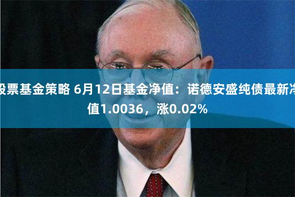 股票基金策略 6月12日基金净值：诺德安盛纯债最新净值1.0036，涨0.02%