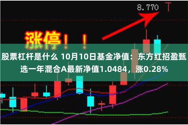 股票杠杆是什么 10月10日基金净值：东方红招盈甄选一年混合A最新净值1.0484，涨0.28%